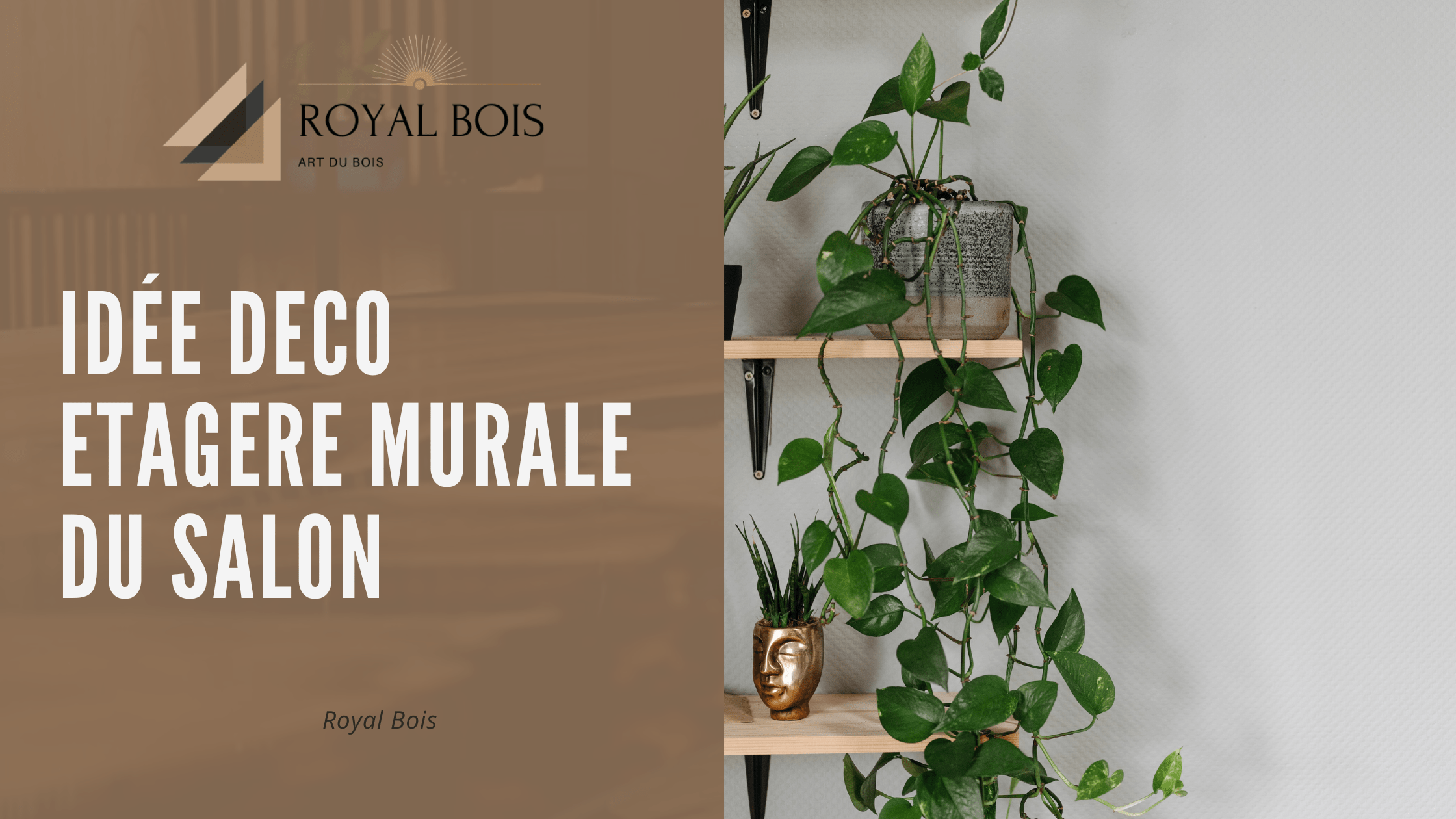 Idée deco etagere murale du salon