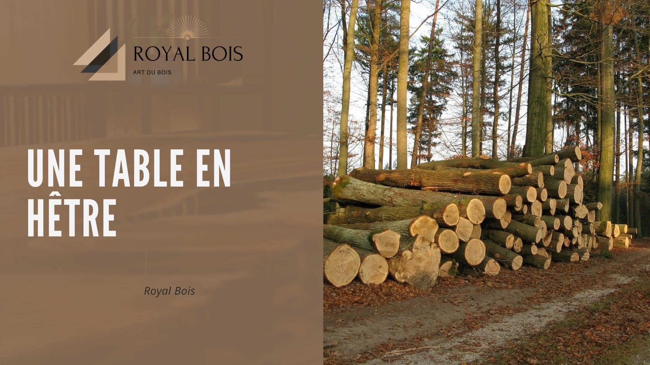 Une table en hêtre harmonieuse