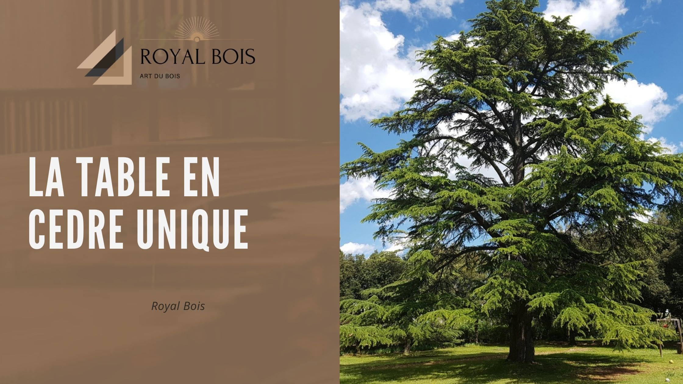 La table en cedre unique
