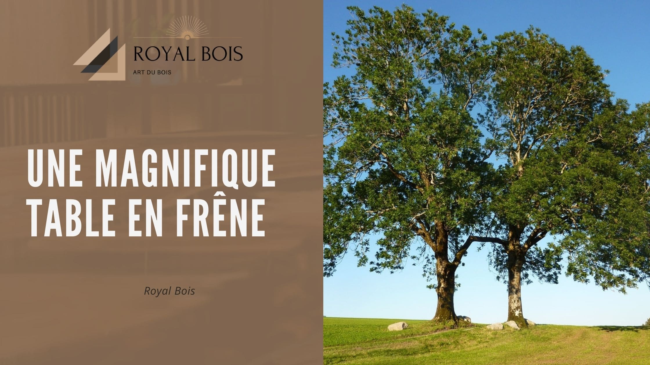 Une magnifique table en frêne