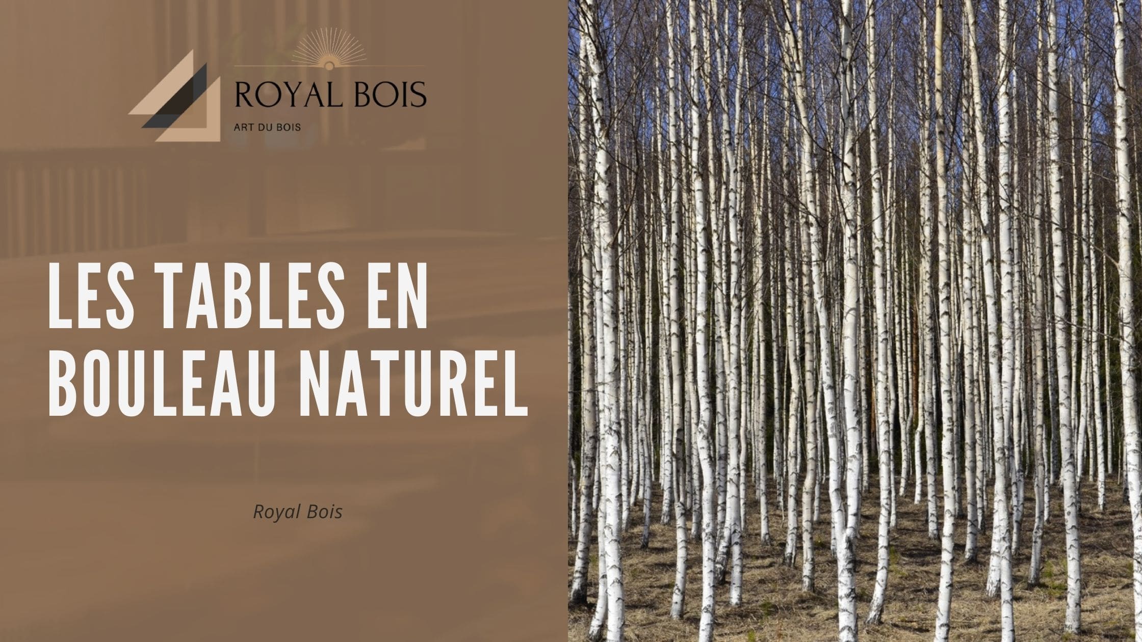 Les tables en bouleau naturel