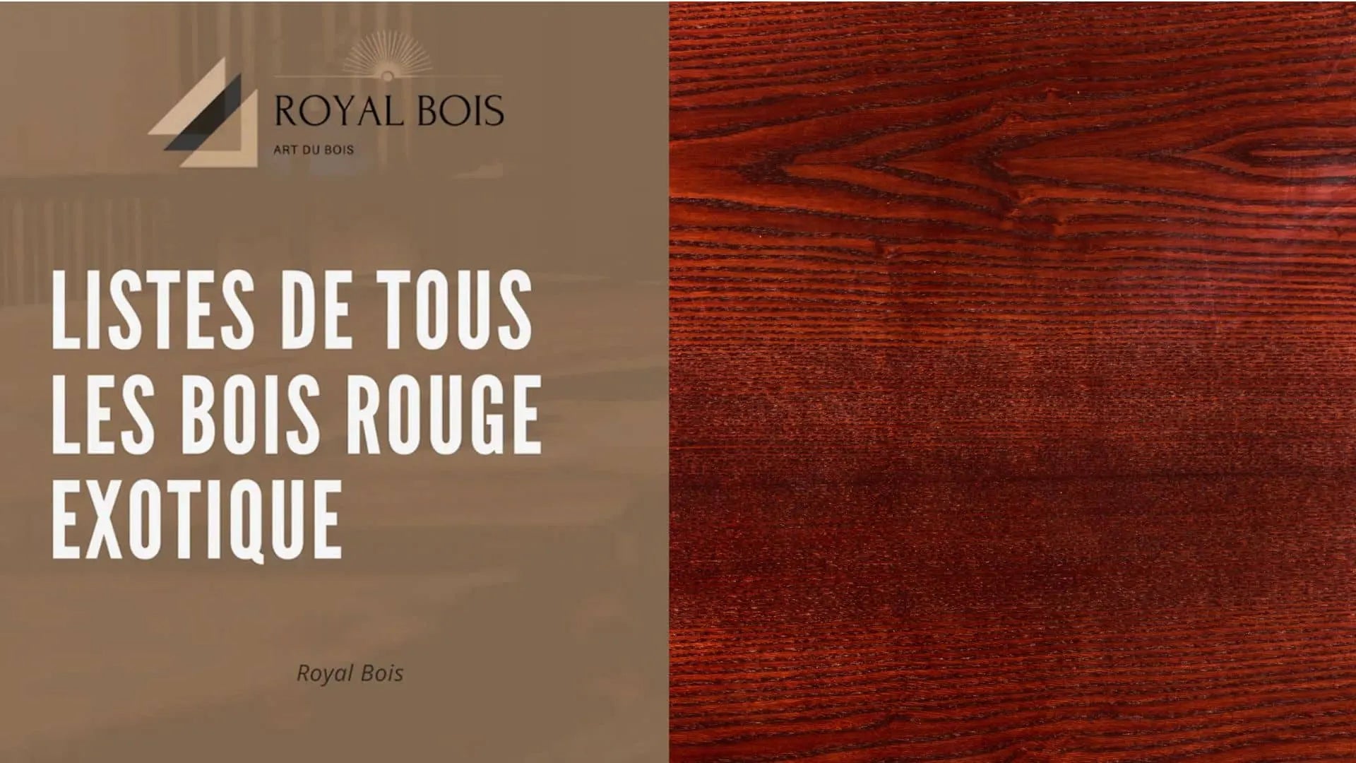 Article Royal Bois sur les différents bois rouges exotiques et leurs utilisations