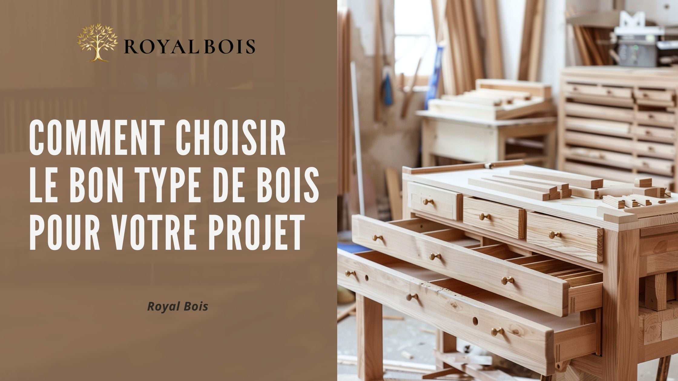 Comment choisir le bon type de bois pour votre projet