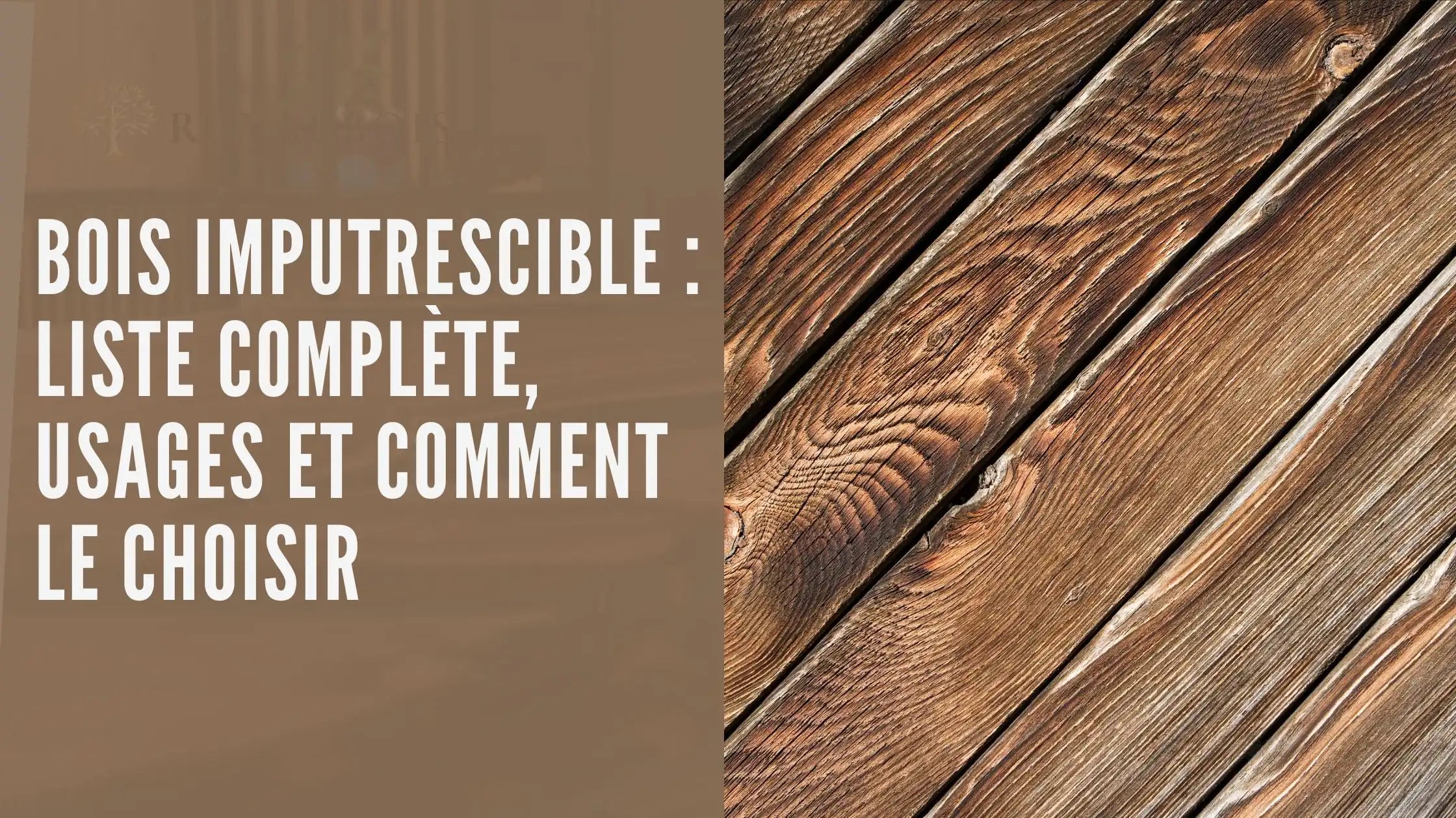 Couverture article Royal Bois sur les bois imputrescibles : la liste complète, les usages et comment le choisir