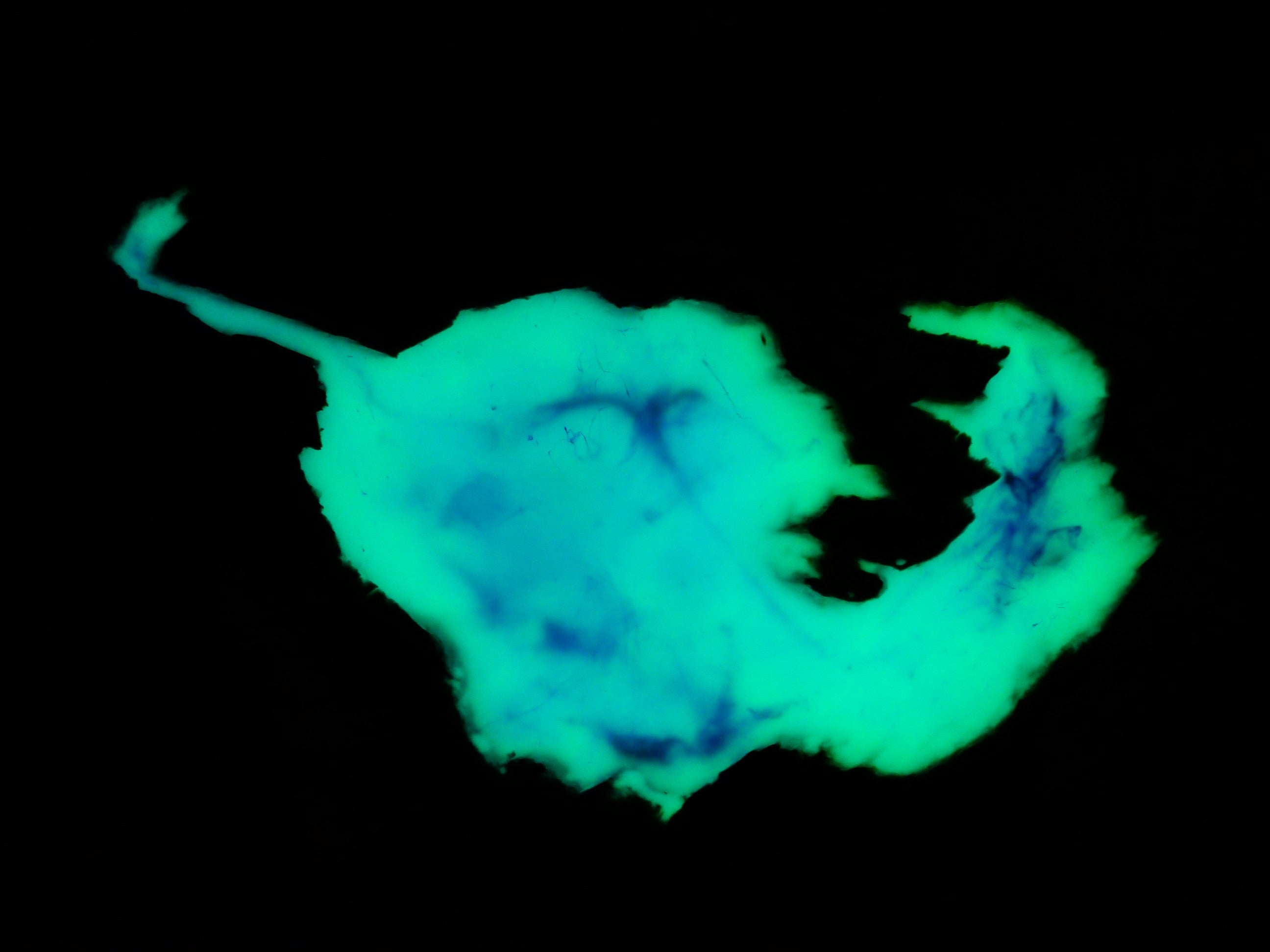 Table époxy transparente