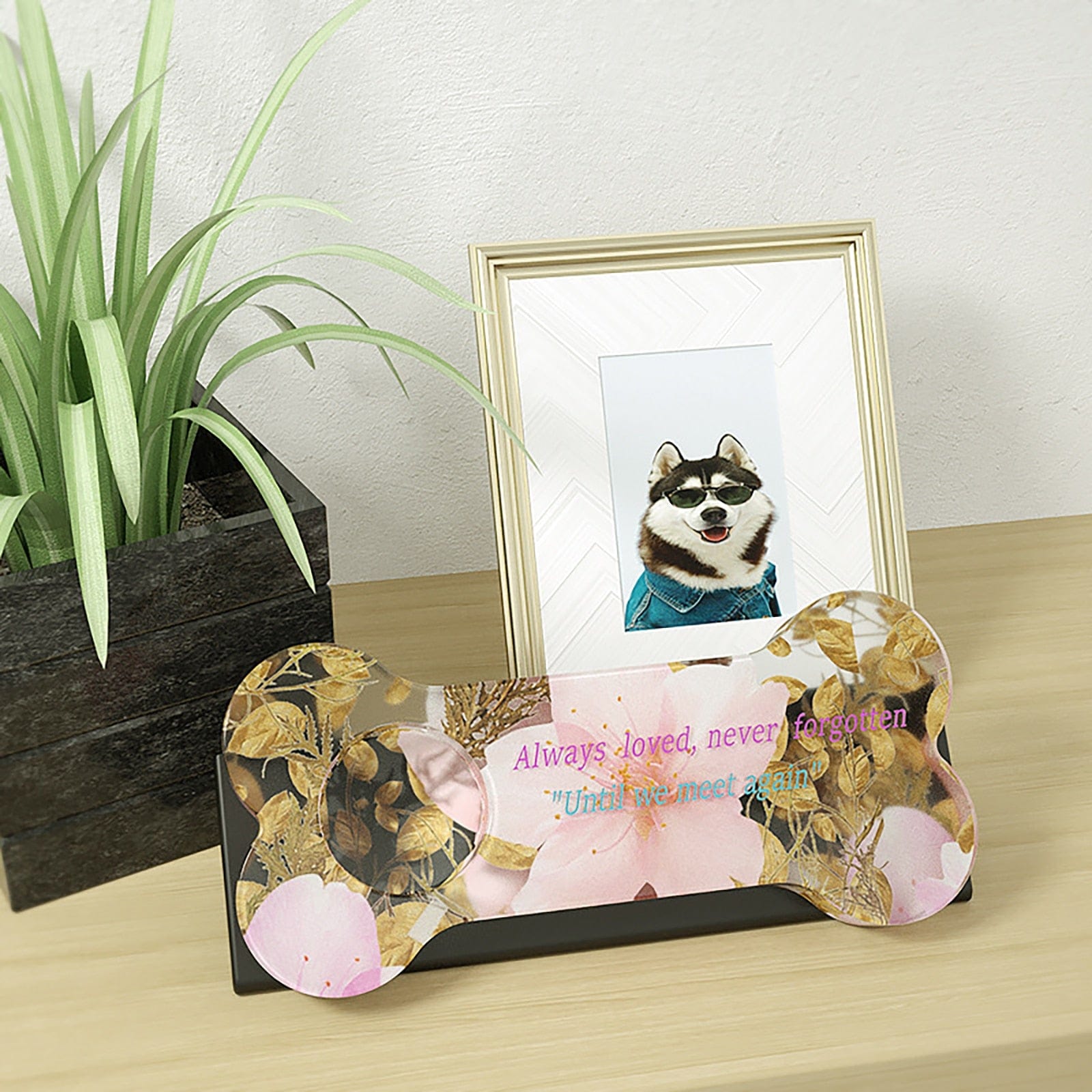 Moule époxy os de chien