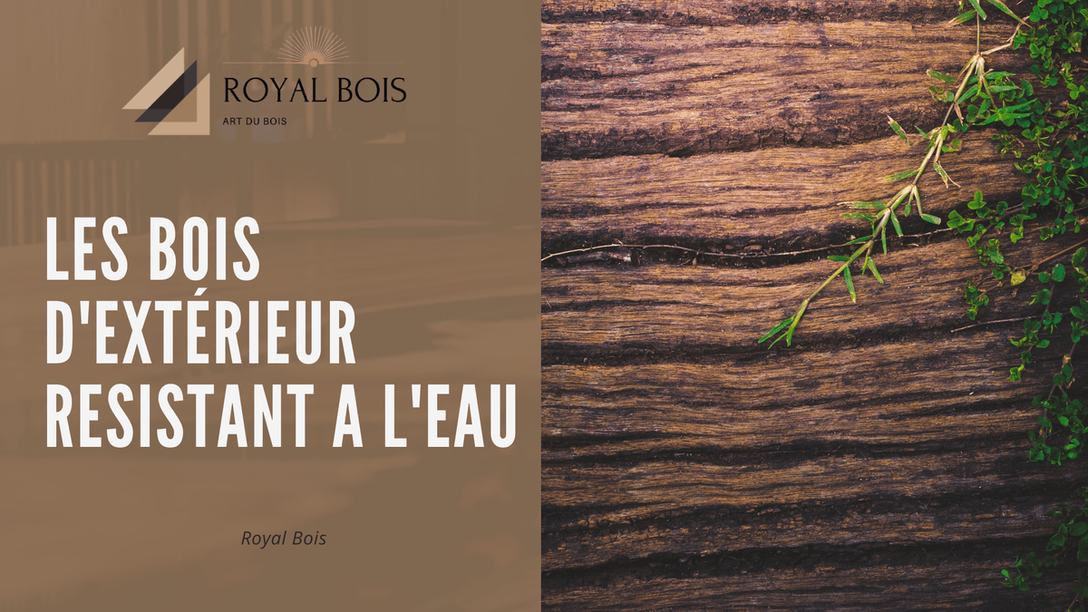 Ruban D'étanchéité En Caoutchouc Super Résistant - QQMORA - 3m X 2,5cm