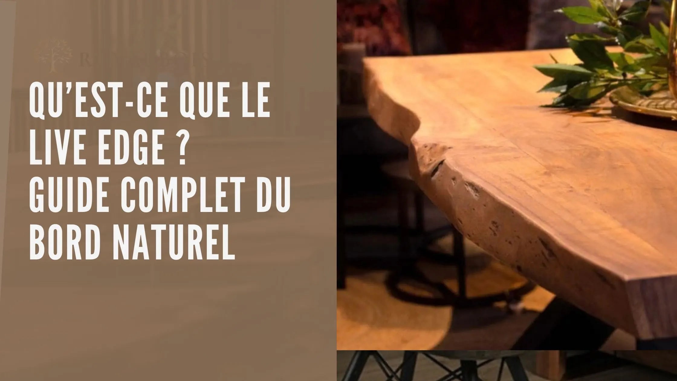 Image de couverture article de blog : Qu'est ce que le live edge