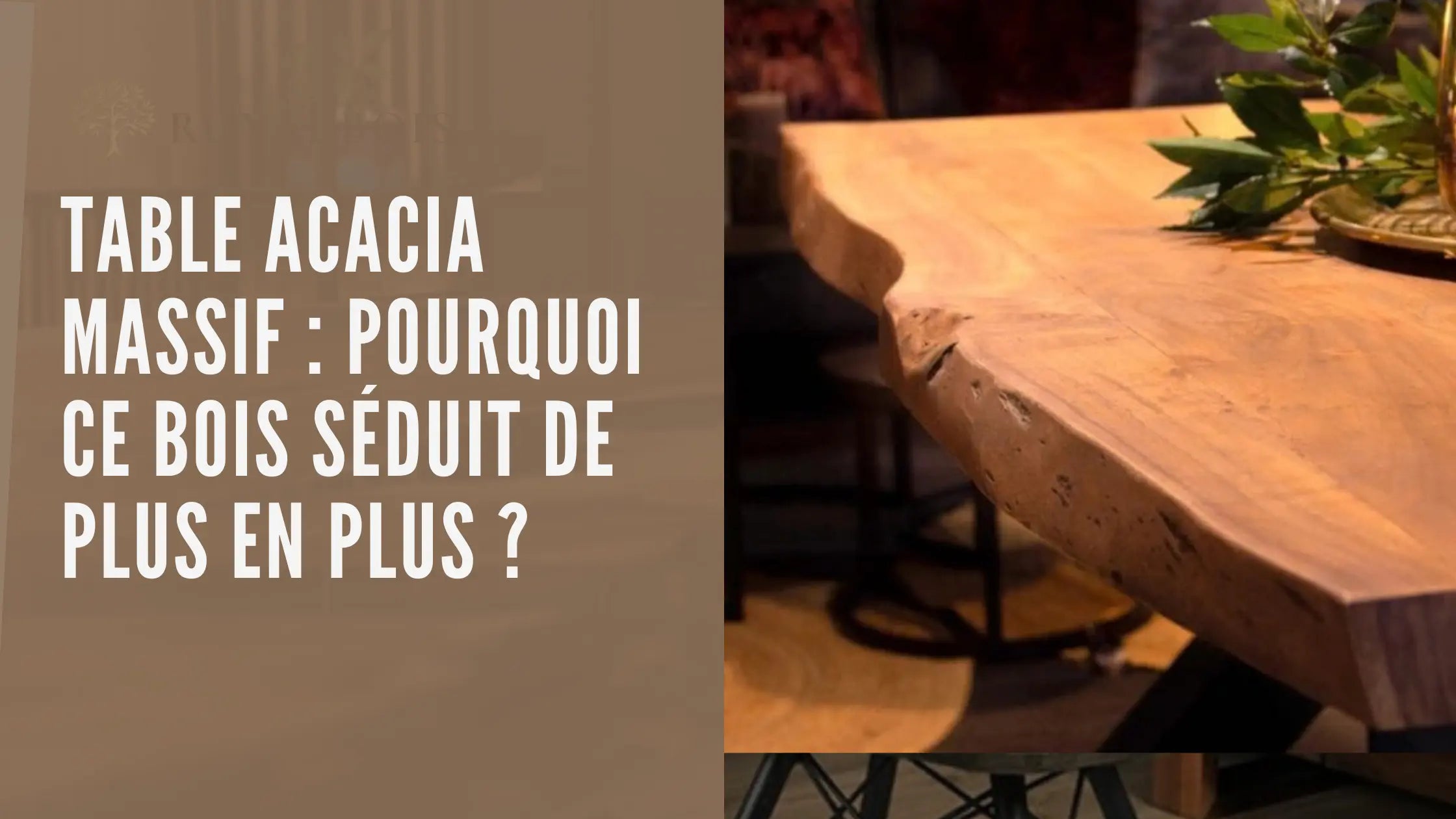 Table acacia massif : pourquoi ce bois séduit de plus en plus les amateurs de mobilier haut de gamme