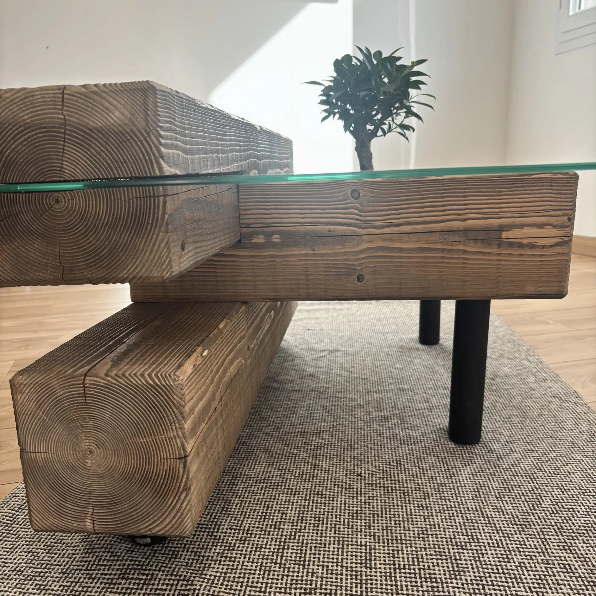 Détail de la table basse bois massif design modèle Origine montrant l'intégration du ficus